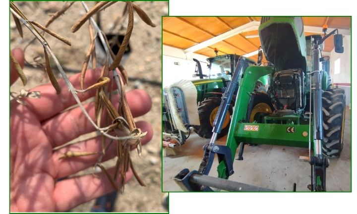 peritajes agricolas